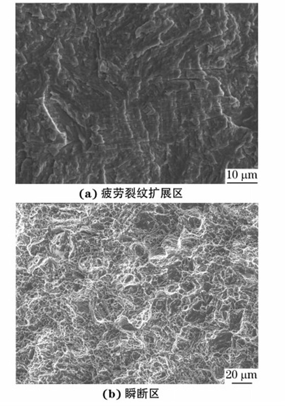 圖４ ３００M 鋼試樣疲勞斷口不同區域的SEM 形貌