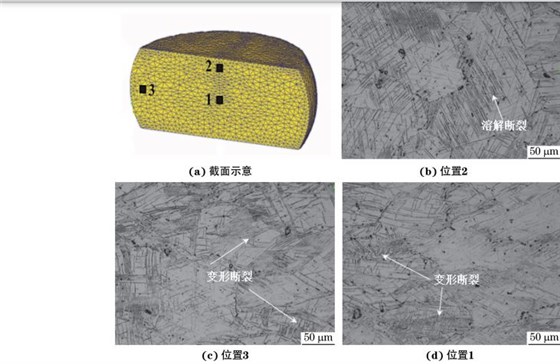 在９８０ ℃、應變速率為０．０１０s－１下壓縮至應變量為３０％后
