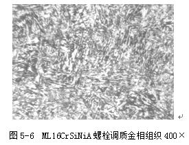ML16CrSiNiA螺栓調質金相組織400×