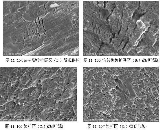 圖11-106終斷區（C1）微觀形貌 圖11-107終斷區（C2）微觀形貌