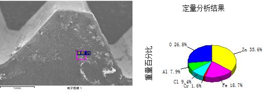 圖13-100 C區斷面形貌及能譜分析