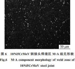 圖６ １０Ni５CrMoV鋼接頭焊縫區 MＧA組元形貌