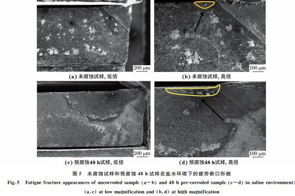 圖5 未腐蝕試樣和預腐蝕48h試樣在鹽水環境下的疲勞斷口形貌 圖5 未腐蝕試樣和預腐蝕48h試樣在鹽水環境下的疲勞斷口形貌