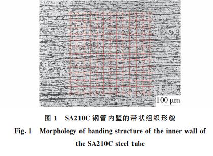 圖1 SA210C鋼管內壁的帶狀組織形貌 圖1 SA210C鋼管內壁的帶狀組織形貌