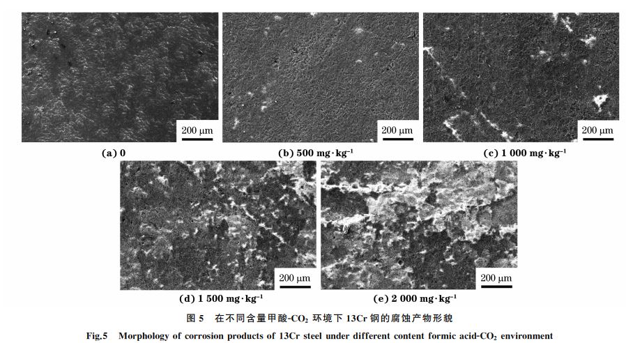圖5 在不同含量甲酸GCO2 環境下13Cr鋼的腐蝕產物形貌 圖5 在不同含量甲酸GCO2 環境下13Cr鋼的腐蝕產物形貌